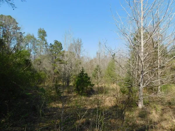 a view of a road with a yard