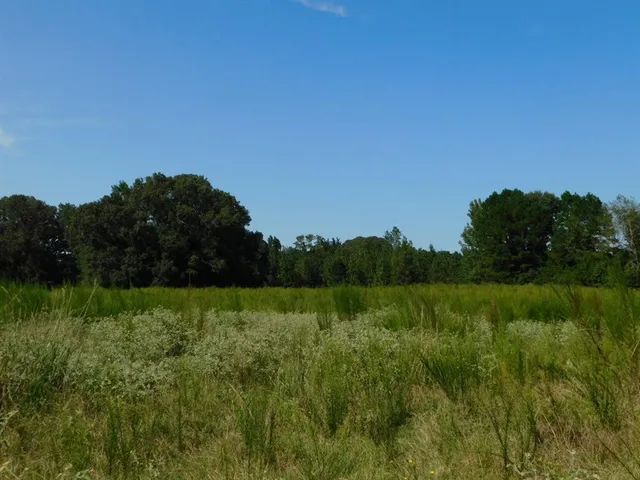 $321,667 | 0 Cox Road, Sarepta, LA 71071