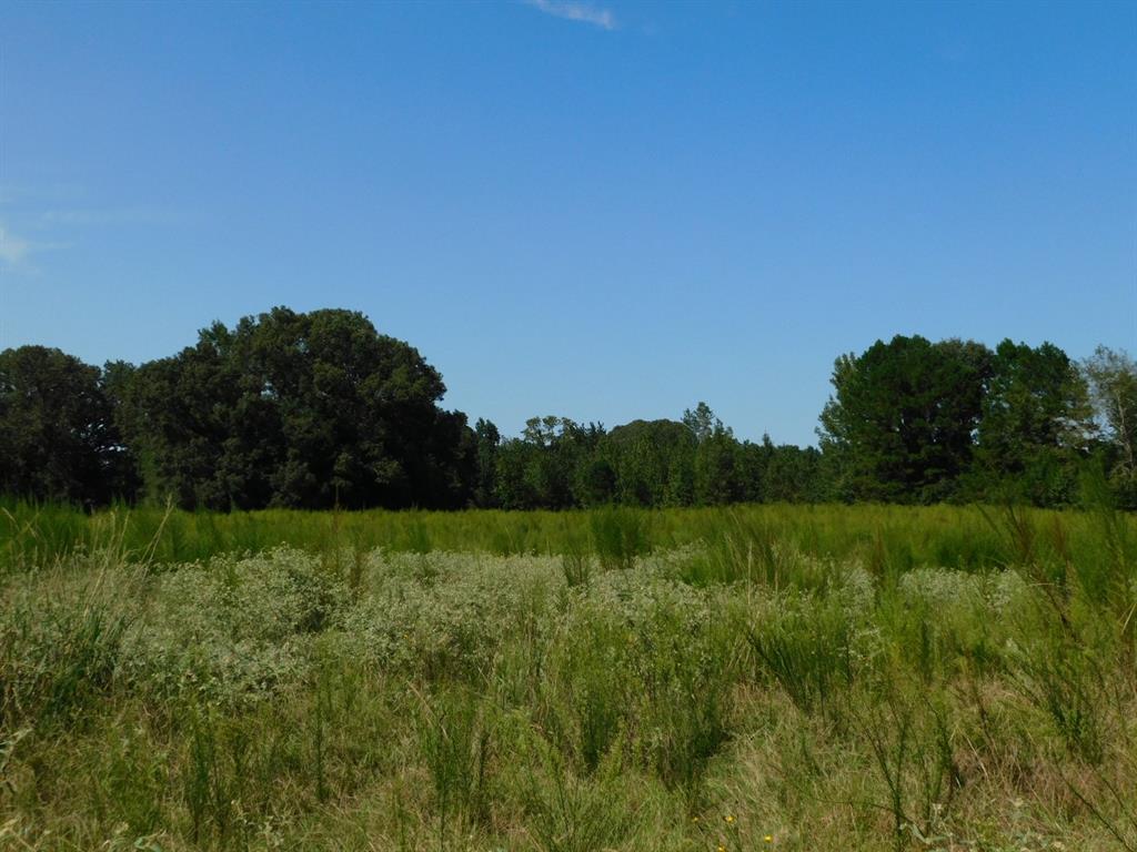 0 Cox Road Sarepta, LA 71071 - Photo 3 of 26 View of wooded area featuring a rural view