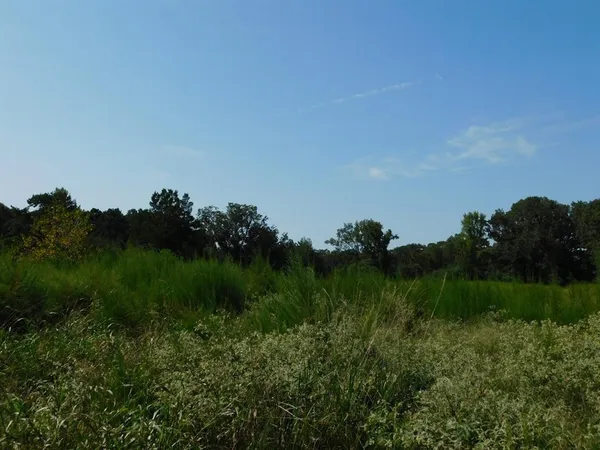 $321,667 | 0 Cox Road, Sarepta, LA 71071