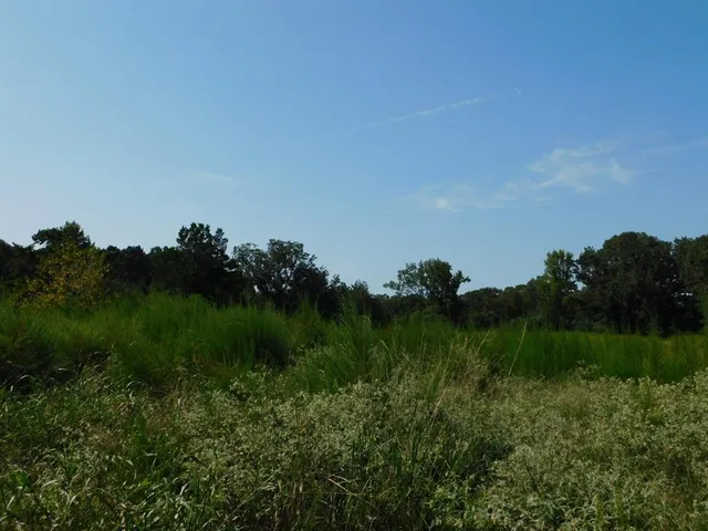 $321,667 | 0 Cox Road, Sarepta, LA 71071