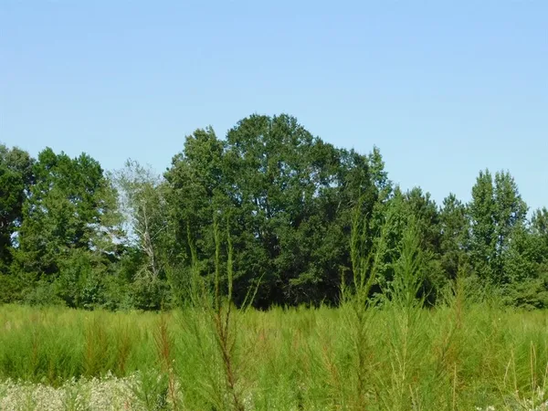 $321,667 | 0 Cox Road, Sarepta, LA 71071