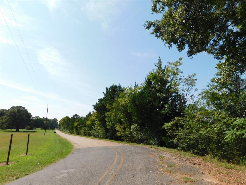 0 Cox Road Sarepta, LA 71071 - Photo 8 of 26 View of asphalt street featuring a forest view