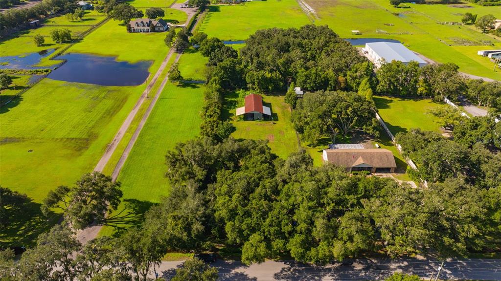 5701 Miley Road Plant City, FL 33565 - Photo 12 of 47 Gallery Image 12
