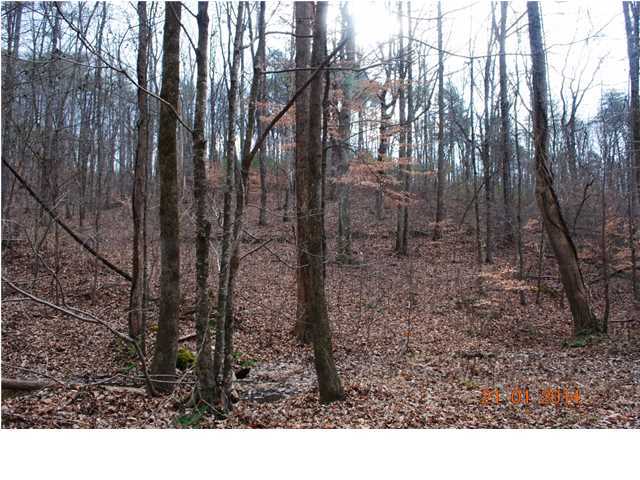 27 Shinbone Ridge Road LaFayette, GA 30728 - Photo 11 of 24 Additional Photo