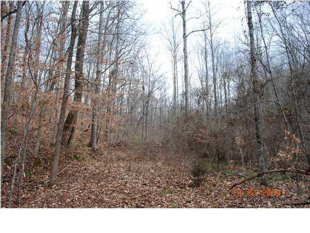 27 Shinbone Ridge Road LaFayette, GA 30728 - Photo 12 of 24 Additional Photo