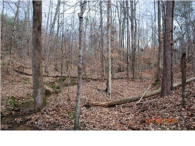 27 Shinbone Ridge Road LaFayette, GA 30728 - Photo 13 of 24 Additional Photo