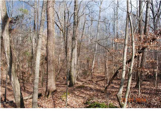 27 Shinbone Ridge Road LaFayette, GA 30728 - Photo 14 of 24 Additional Photo