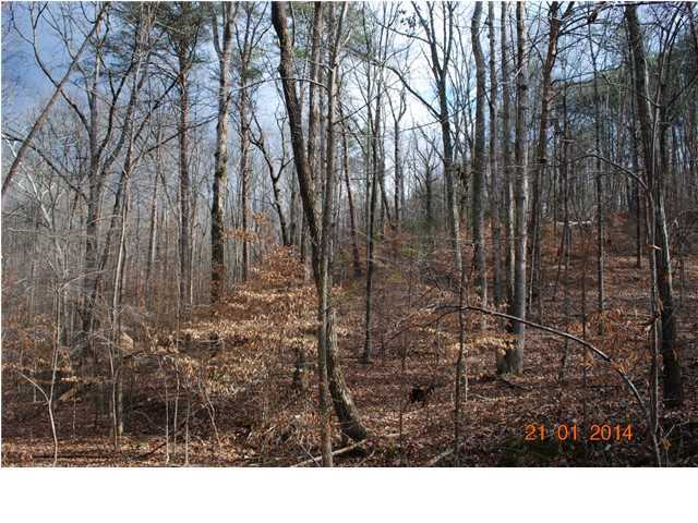 27 Shinbone Ridge Road LaFayette, GA 30728 - Photo 15 of 24 Additional Photo