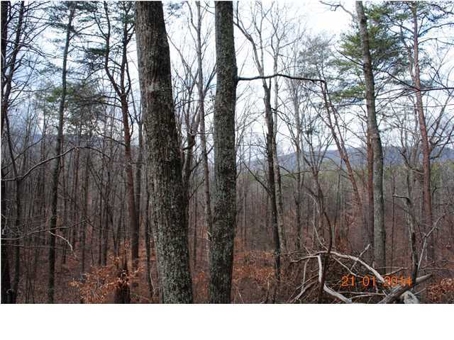 27 Shinbone Ridge Road LaFayette, GA 30728 - Photo 16 of 24 Additional Photo