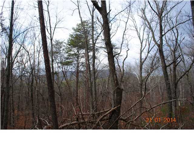27 Shinbone Ridge Road LaFayette, GA 30728 - Photo 17 of 24 Additional Photo
