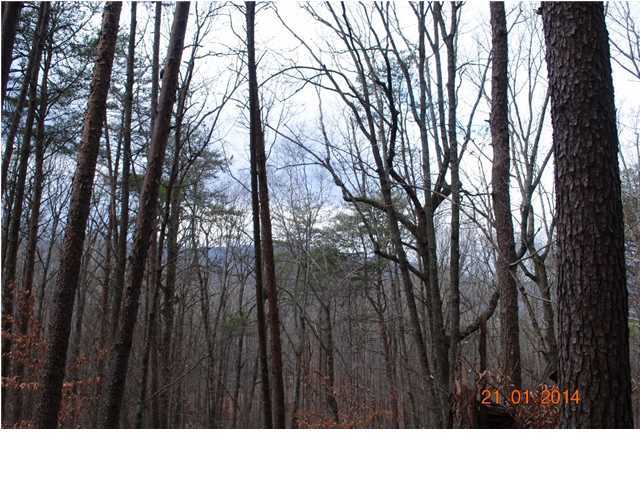 27 Shinbone Ridge Road LaFayette, GA 30728 - Photo 20 of 24 Additional Photo