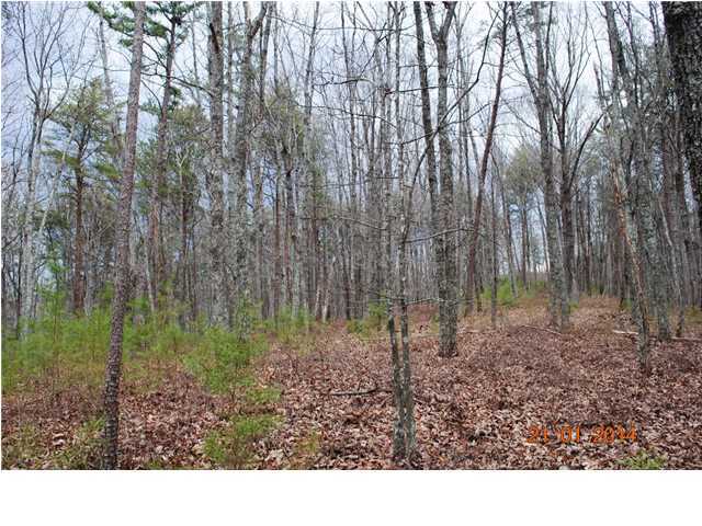27 Shinbone Ridge Road LaFayette, GA 30728 - Photo 21 of 24 Additional Photo
