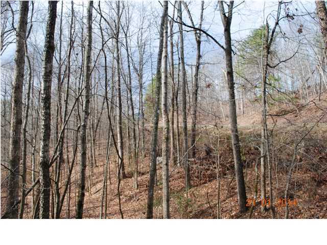 27 Shinbone Ridge Road LaFayette, GA 30728 - Photo 22 of 24 Additional Photo