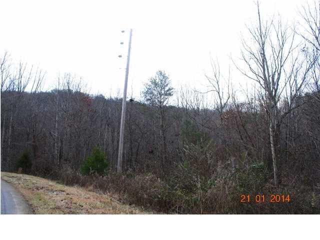 27 Shinbone Ridge Road LaFayette, GA 30728 - Photo 23 of 24 Additional Photo