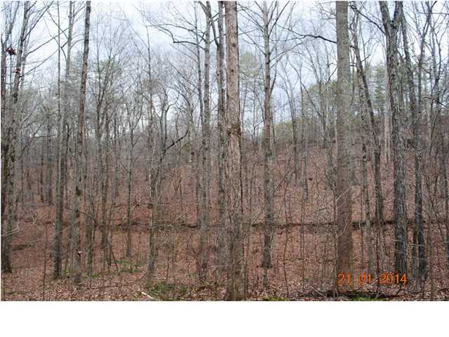 27 Shinbone Ridge Road LaFayette, GA 30728 - Photo 24 of 24 Additional Photo