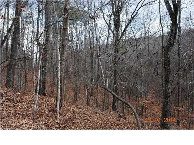 27 Shinbone Ridge Road LaFayette, GA 30728 - Photo 9 of 24 Additional Photo