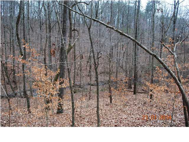 27 Shinbone Ridge Road LaFayette, GA 30728 - Photo 10 of 24 Additional Photo