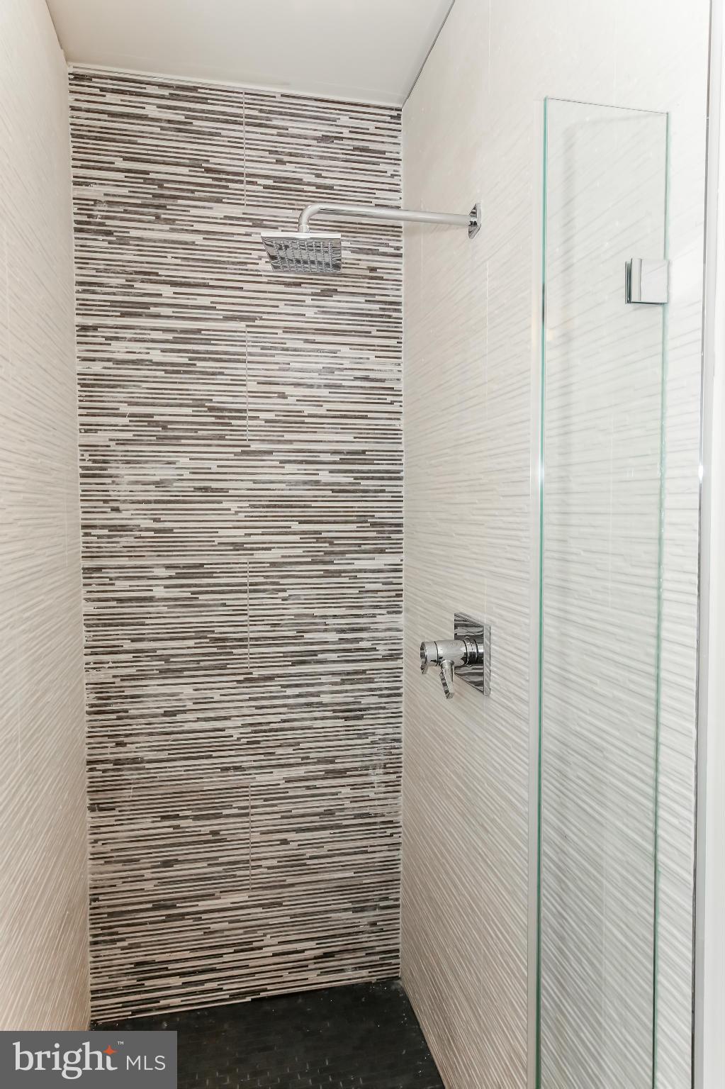 462 Ridge Street Northwest, Unit 5 Washington, DC 20001 - Photo 5 of 11 Bath (Master)