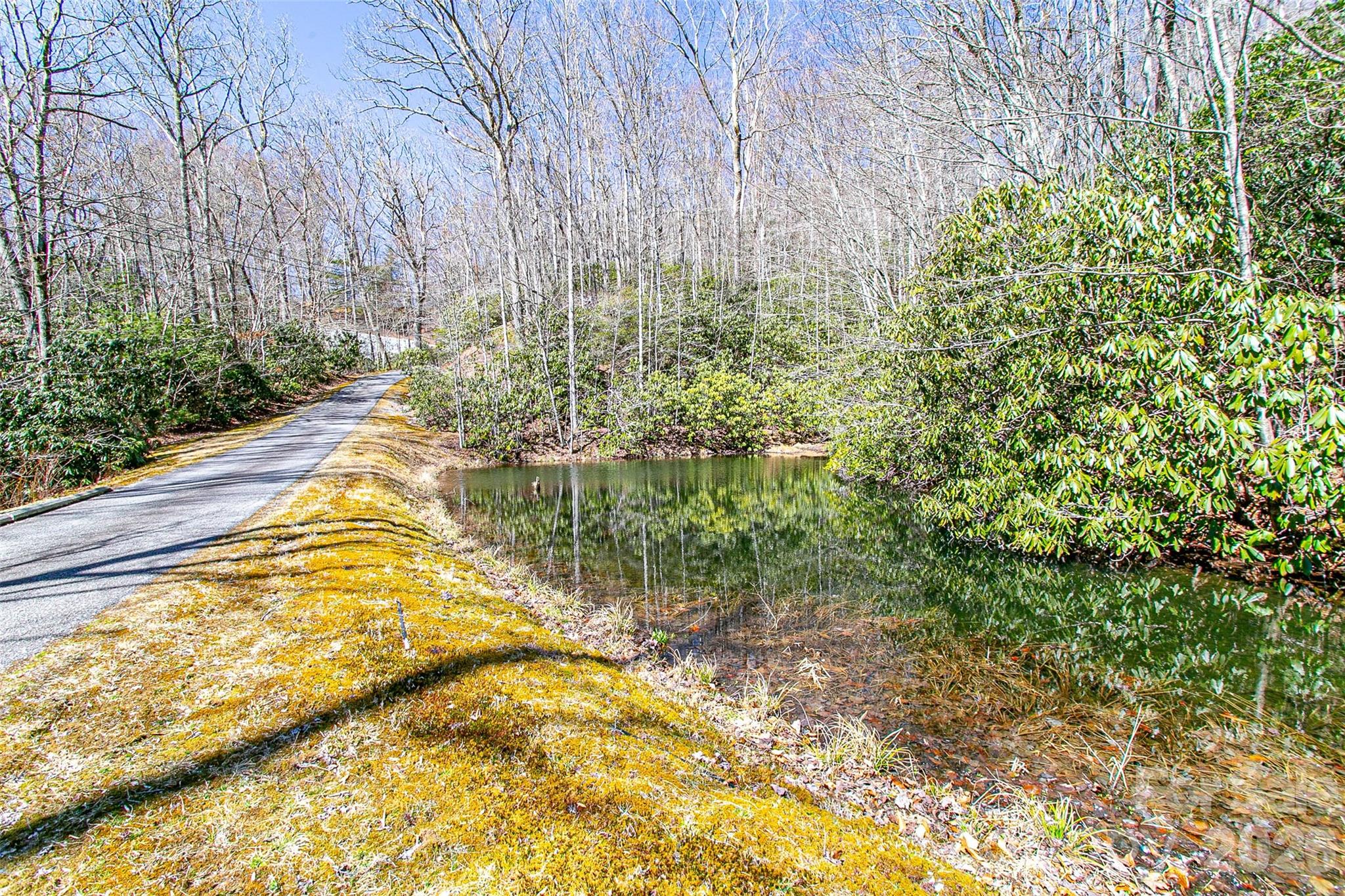 Tbd Still Branch Road, Unit L20 Brevard, NC 28712 - Photo 3 of 26