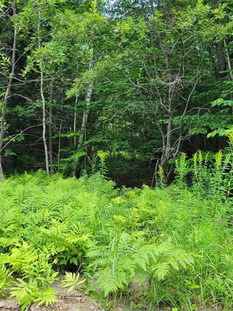 17 Iisalo Road Temple, ME 04984 - Photo 14 of 30 363833224_958313125443639_59029059553914