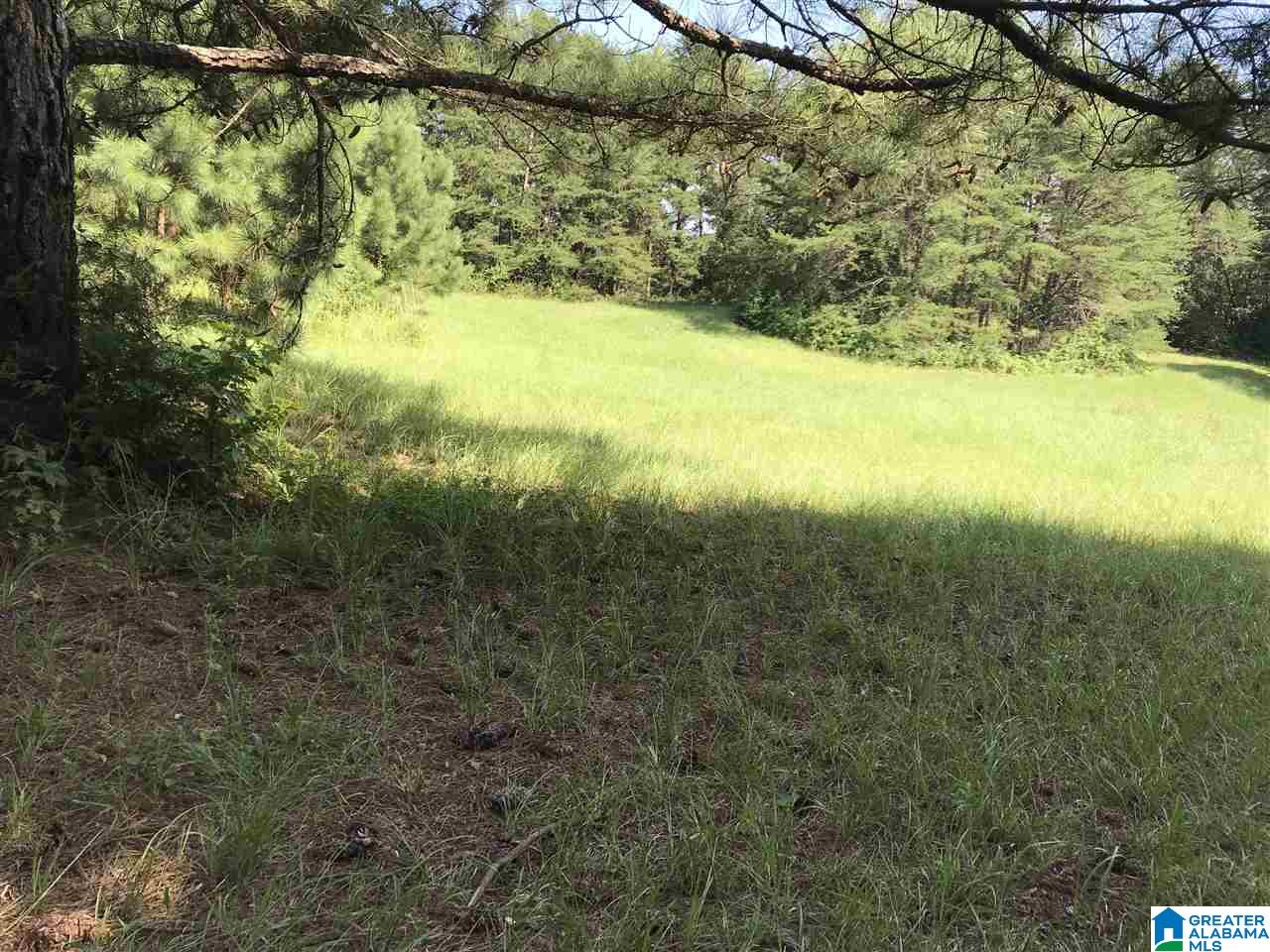 0 High Pointe Drive Warrior, AL 35180 - Photo 11 of 12