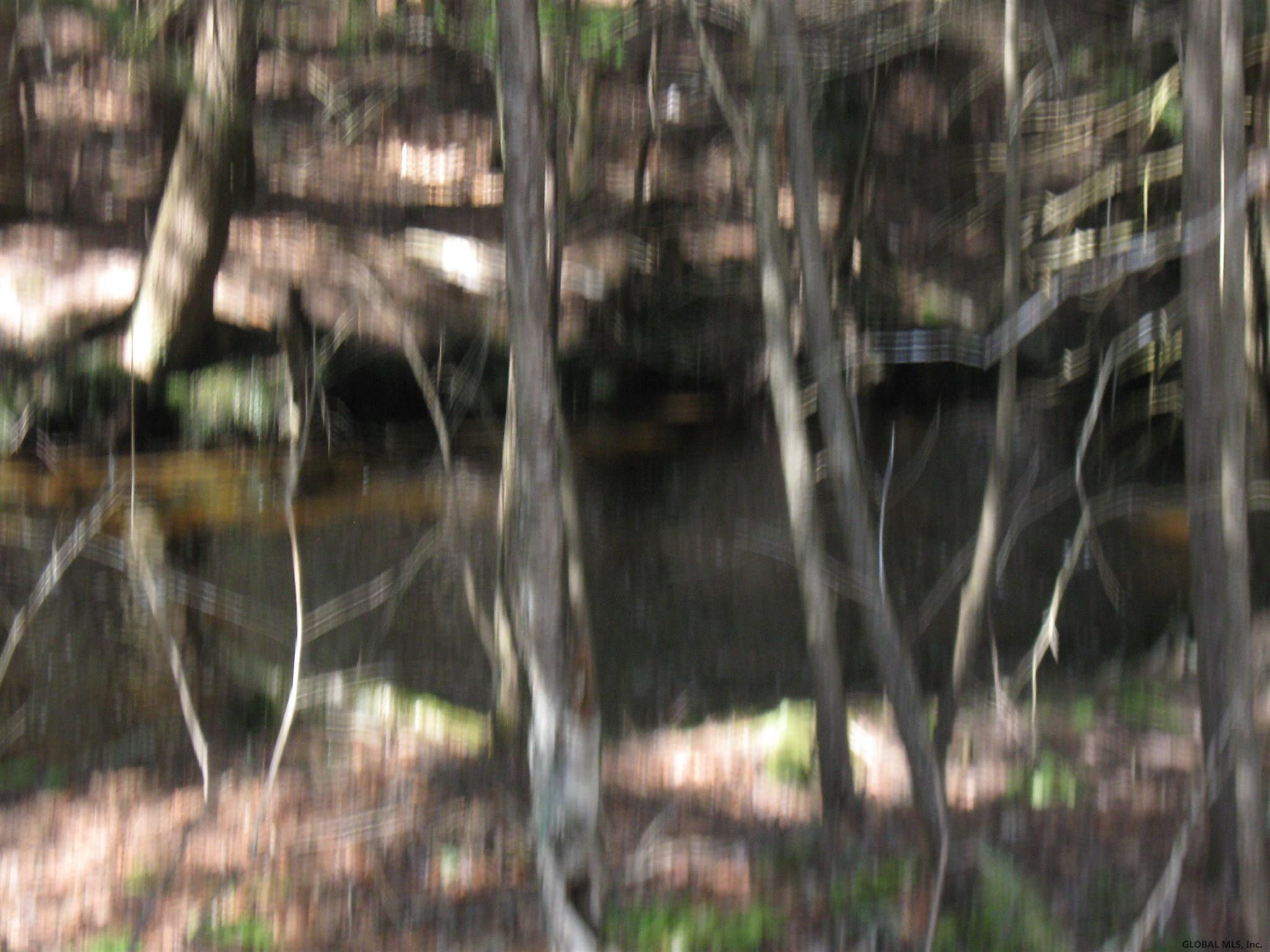 8 Fifty Six Road Poestenkill, NY 12018 - Photo 13 of 18 Photo 13
