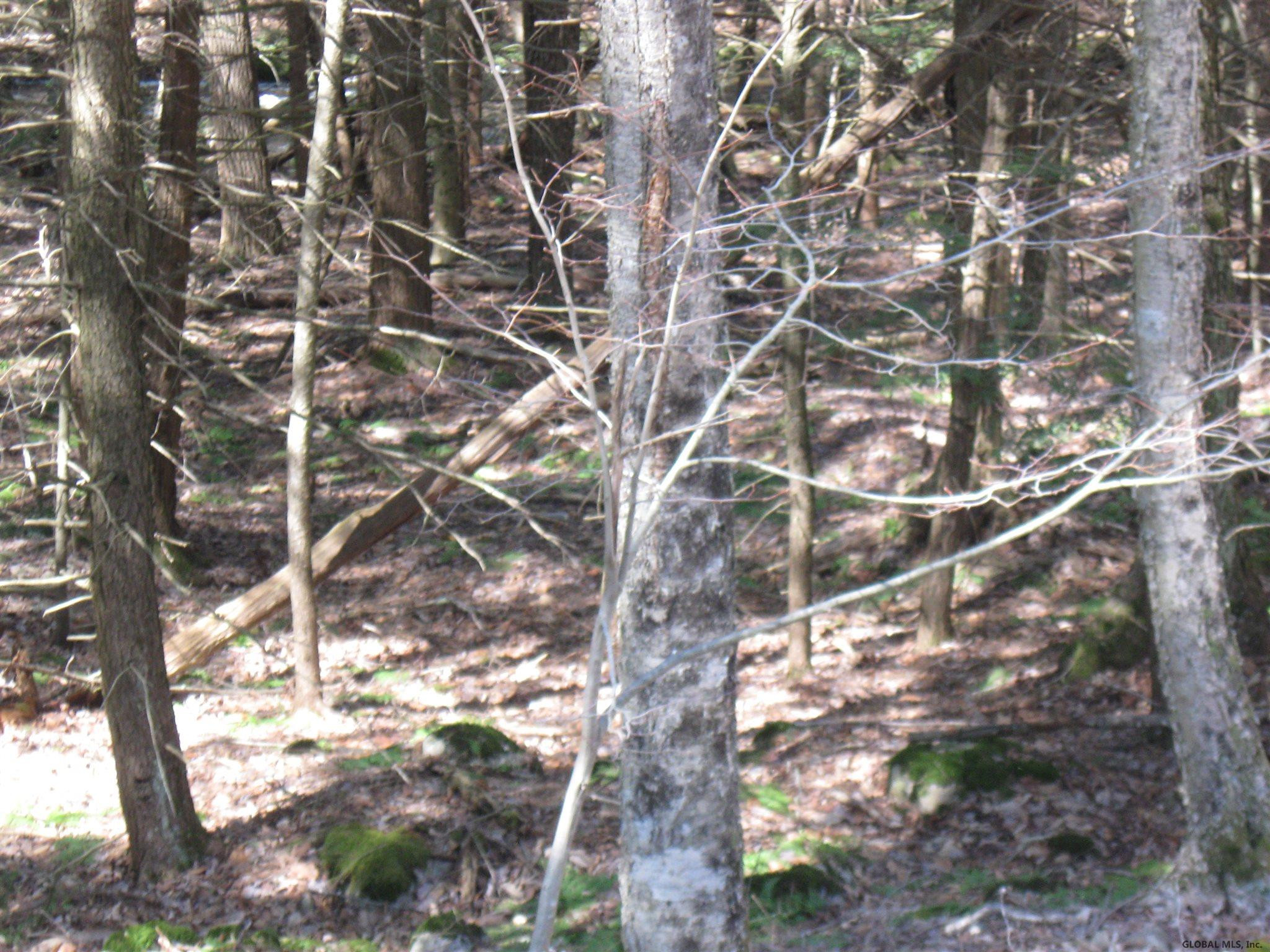 8 Fifty Six Road Poestenkill, NY 12018 - Photo 14 of 18 Photo 14