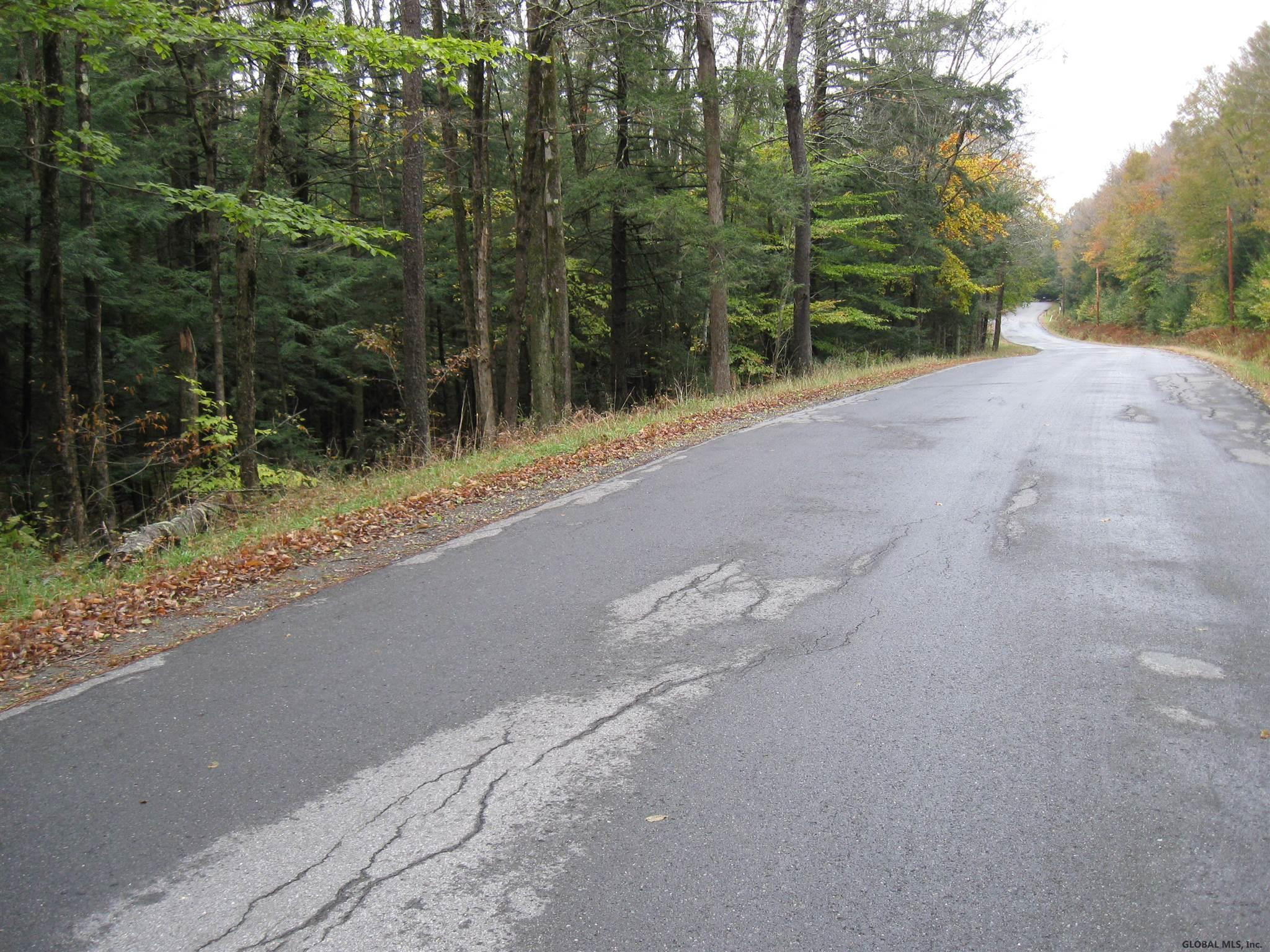 8 Fifty Six Road Poestenkill, NY 12018 - Photo 3 of 18 Photo 3