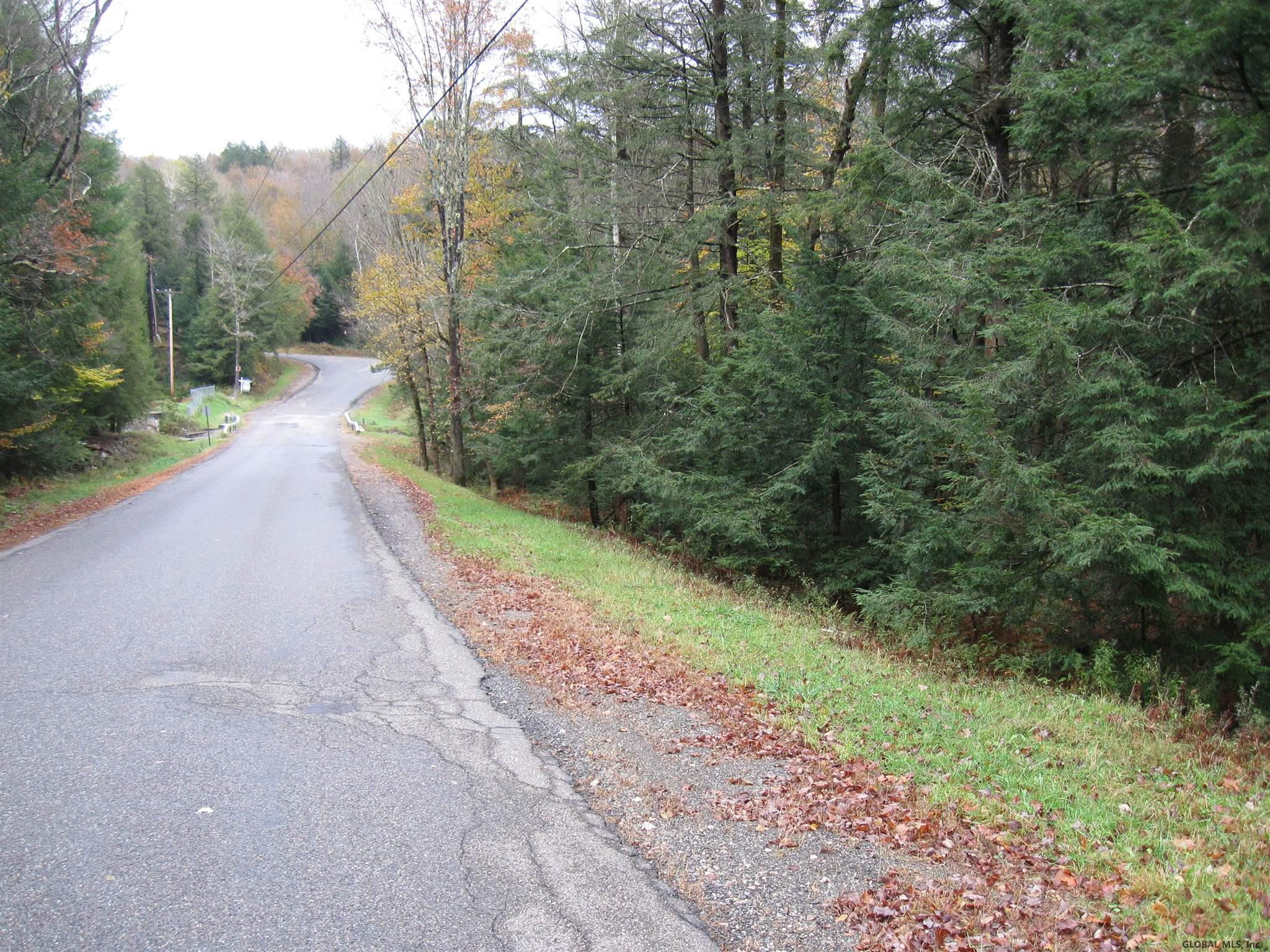 8 Fifty Six Road Poestenkill, NY 12018 - Photo 7 of 18 Photo 7