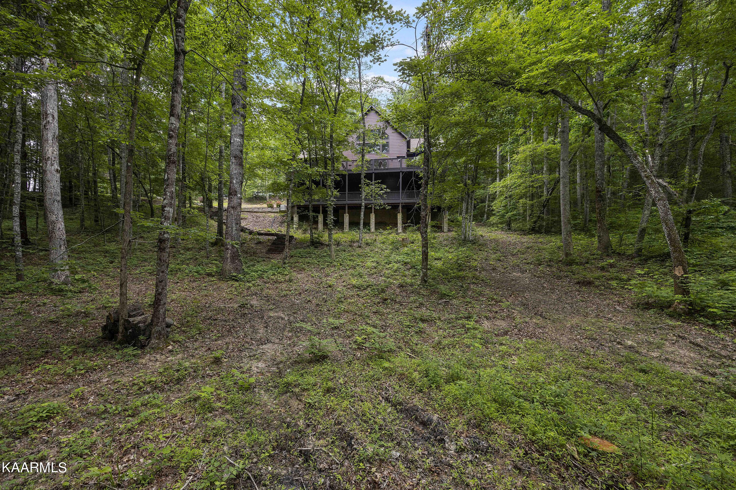 132 Fence Rail Gap Road Walland, TN 37886 - Photo 18 of 19 Back of Home