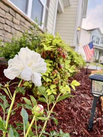 $550,000 | 7023 Sully Court, Fairview, TN 37062