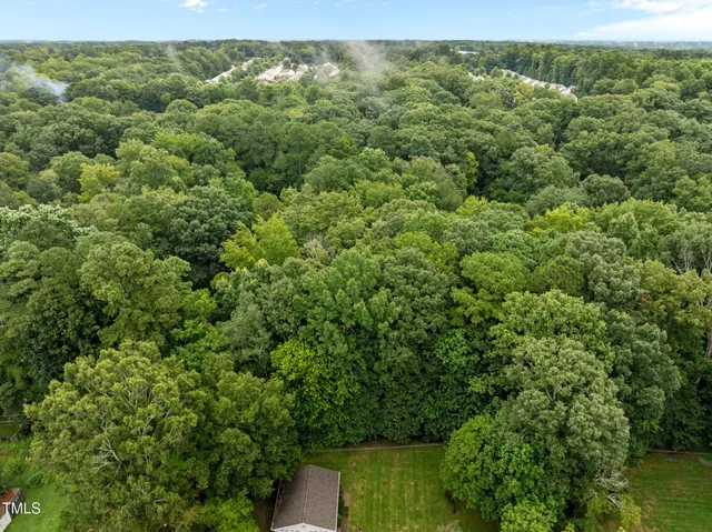 a view of a forest with a street
