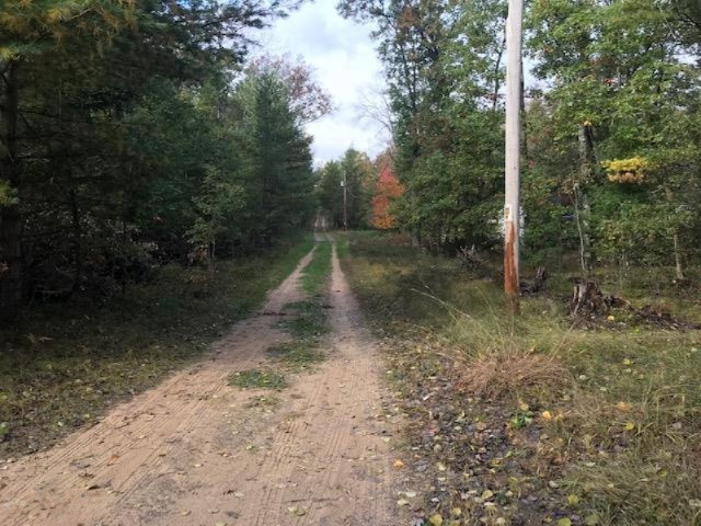 2358 P P Links Road West Irons, MI 49644 - Photo 16 of 18 IMG_4628