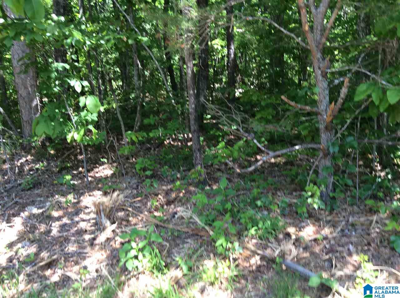 0 County Road 89, Unit 1 Mentone, AL 35984 - Photo 9 of 10