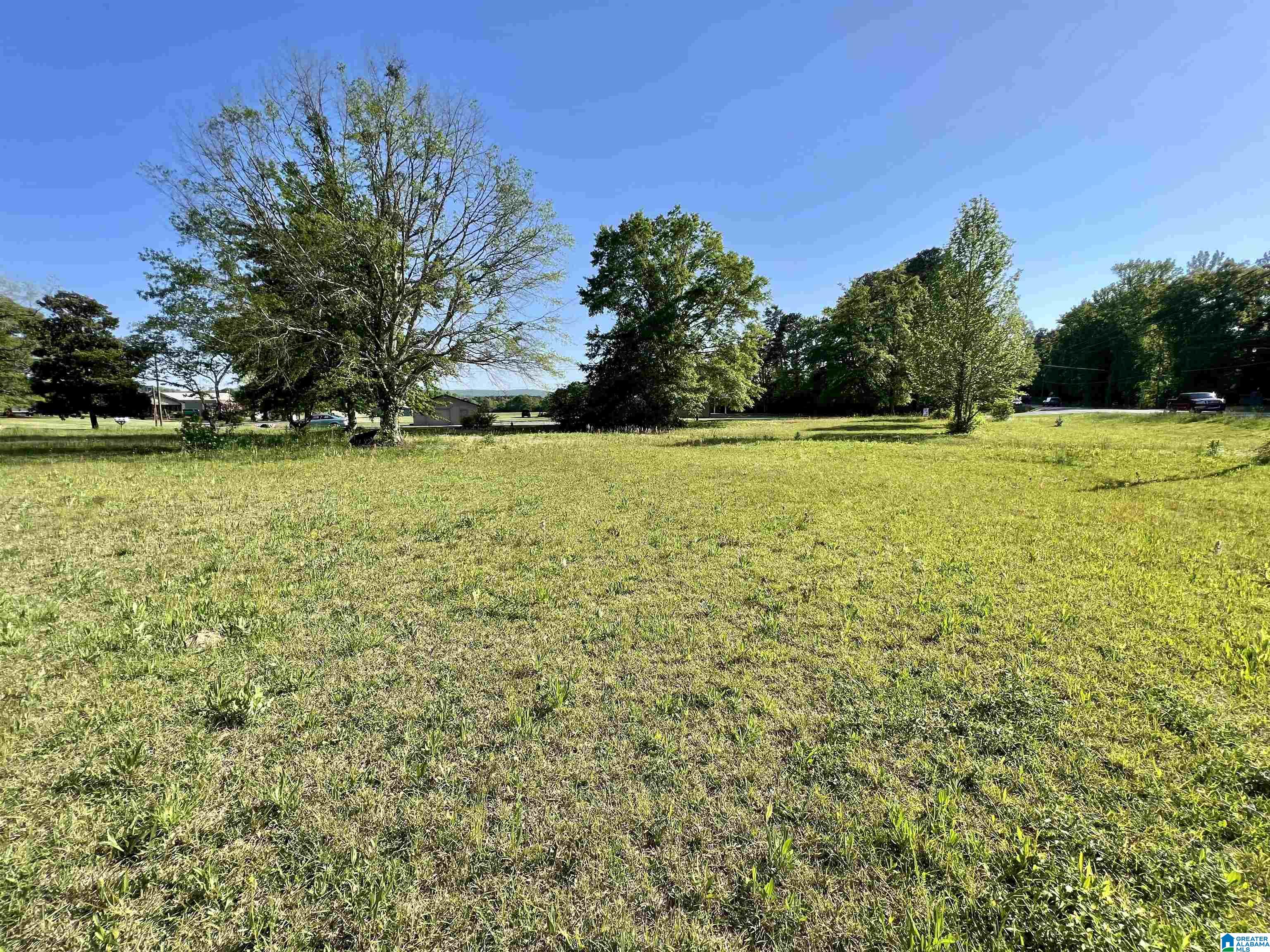 470 Crocker Road, Unit 1 Odenville, AL 35120 - Photo 2 of 13