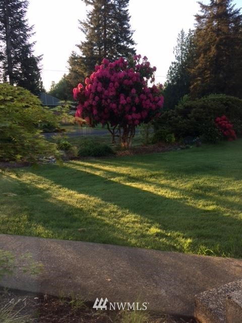 3235 Libby Road Northeast Olympia, WA 98506 - Photo 16 of 20 Gallery Image 16