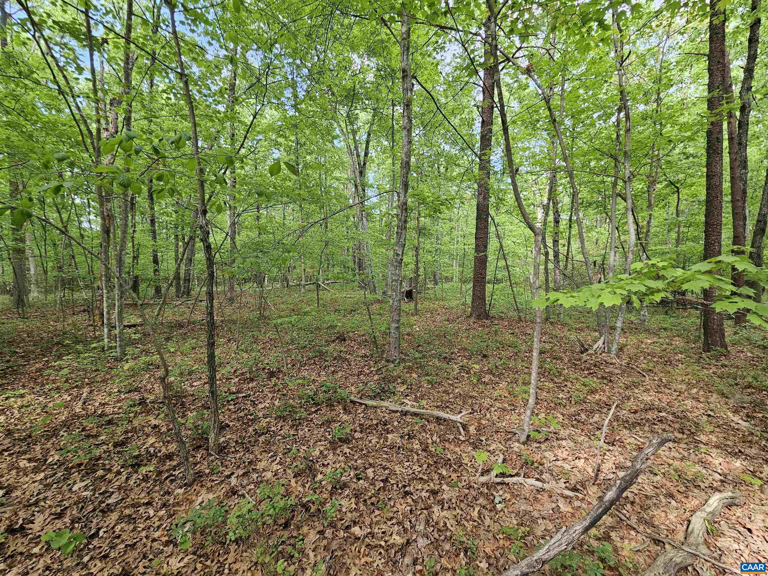 8.65-ac Pond Road Buckingham, VA 23921 - Photo 13 of 23 Gallery Image 13