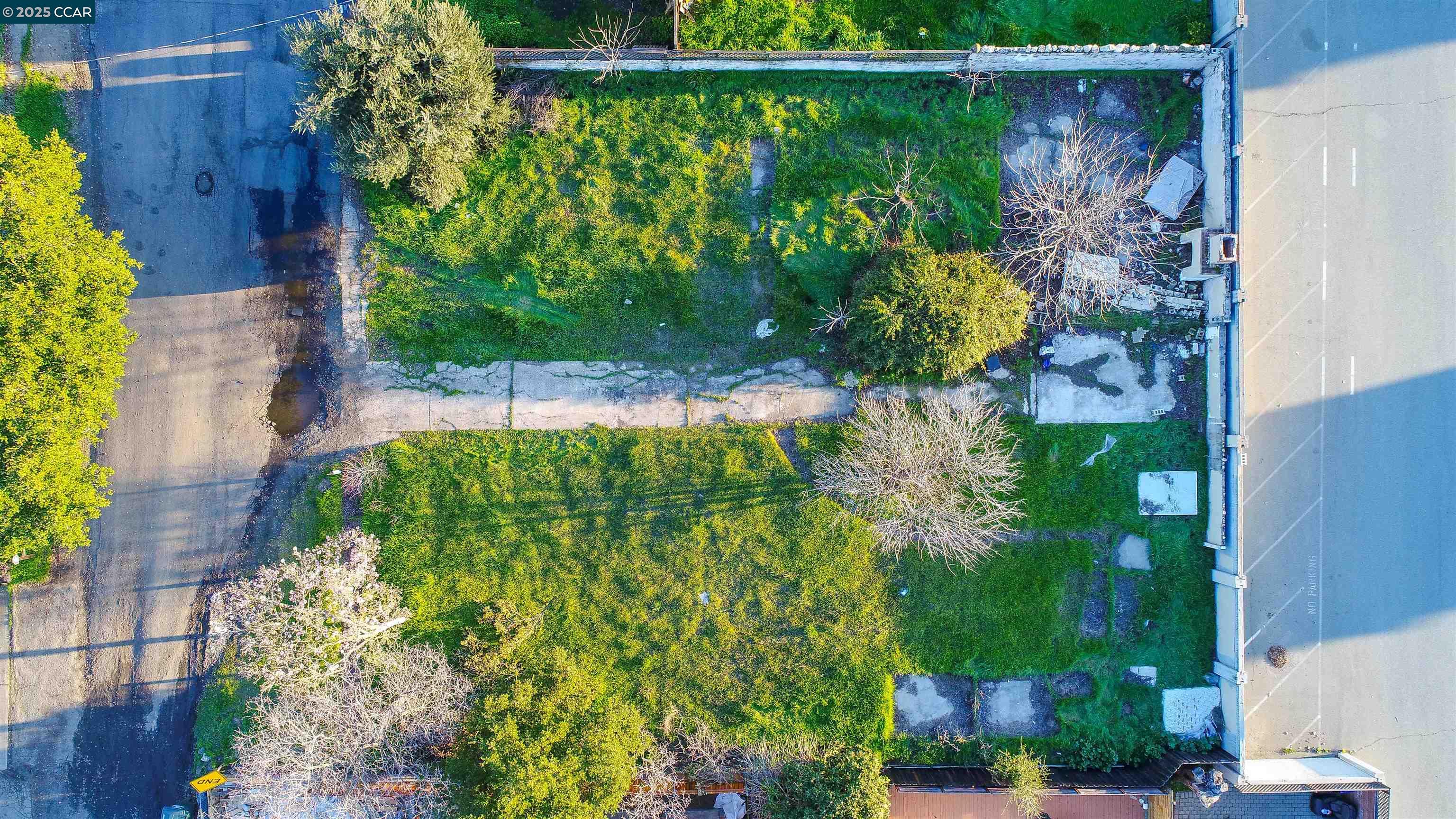 1985 North 3rd Street Concord, CA 94519 - Photo 4 of 9 a view of a garden