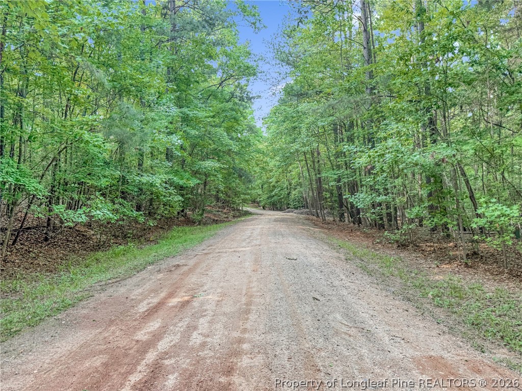 122 Palomino Road Carthage, NC 28327 - Photo 6 of 11 a view of a forest with trees in front of it