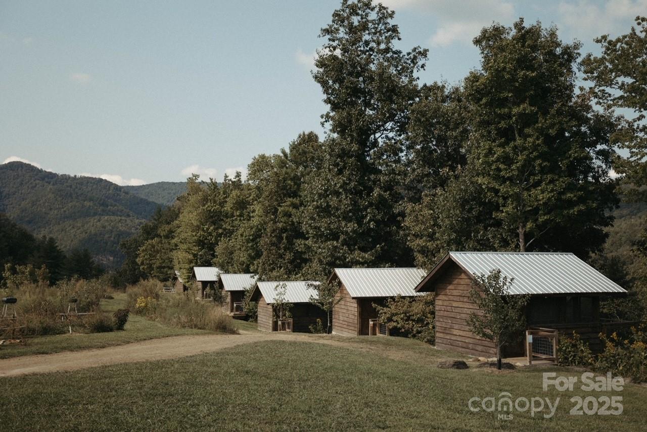 1295 Paint Rock Road Hot Springs, NC 28743 - Photo 20 of 29 an aerial view of a house with yard and mountain view