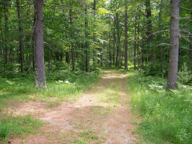 18-a On Cth Street Rhinelander, WI 54501 - Photo 19 of 20 Gallery Image 19