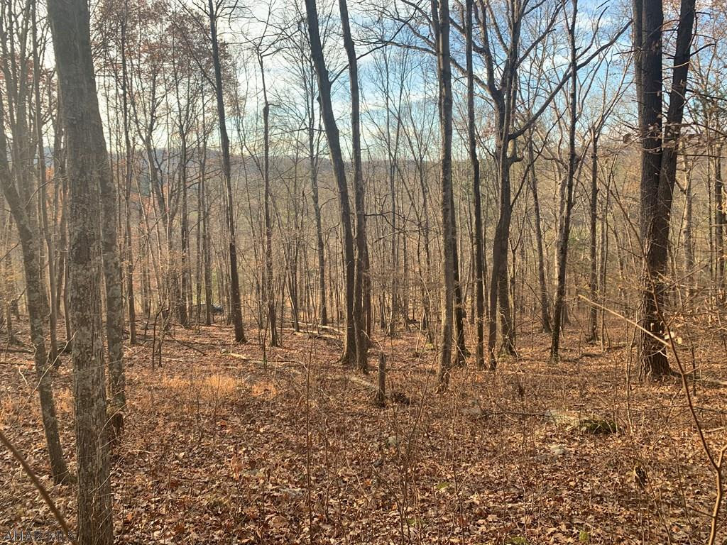 Lot I Clear Ridge Road Clearville, PA 15535 - Photo 16 of 24