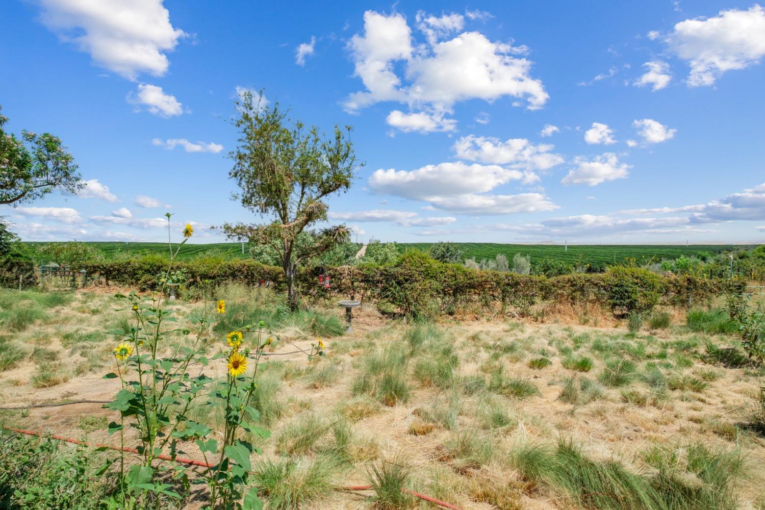 29001 Ave 22 Madera, CA 93638 - Photo 21 of 31 a view of a lake