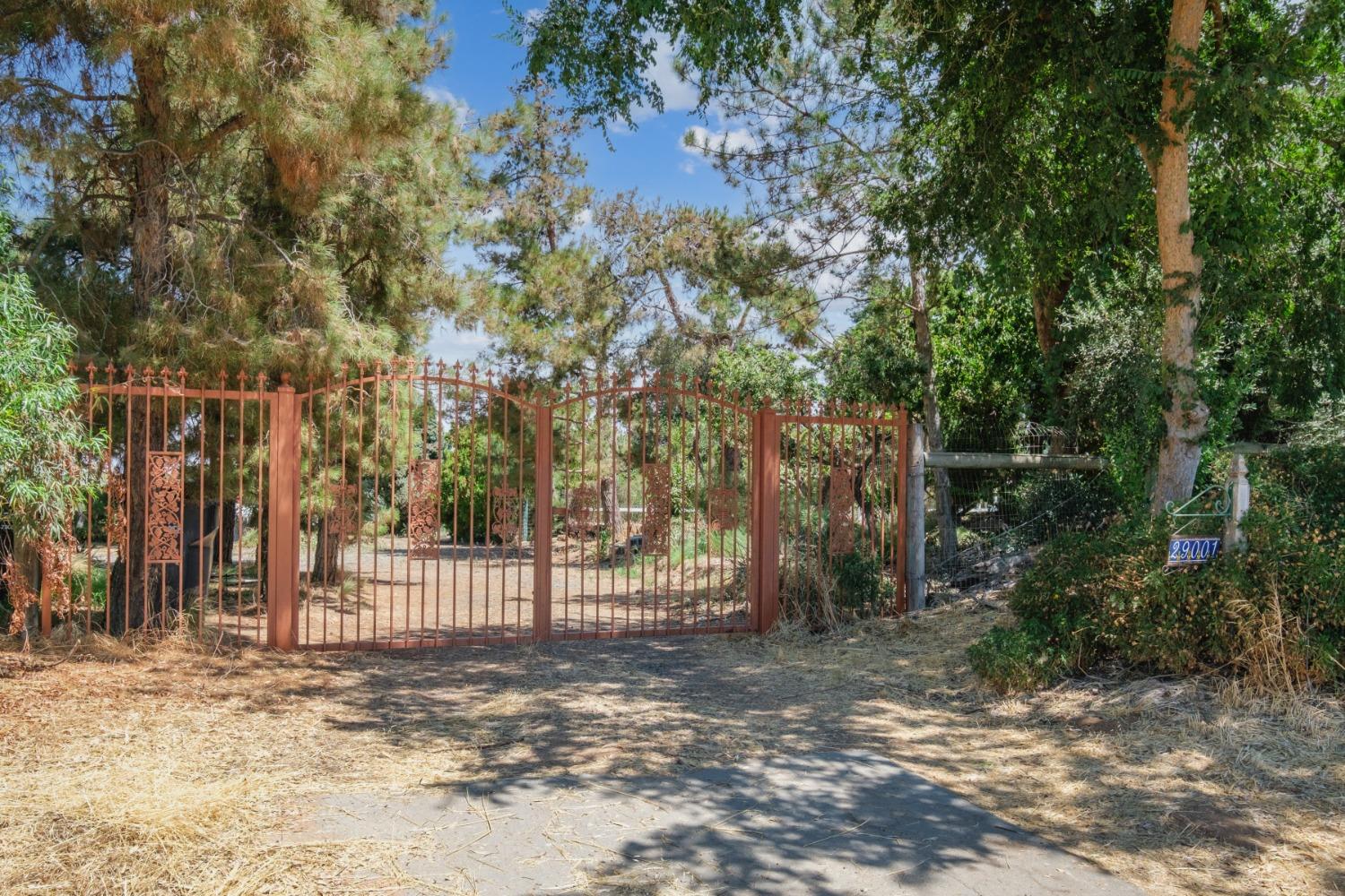 29001 Ave 22 Madera, CA 93638 - Photo 26 of 31 a view of a yard with plants and tree