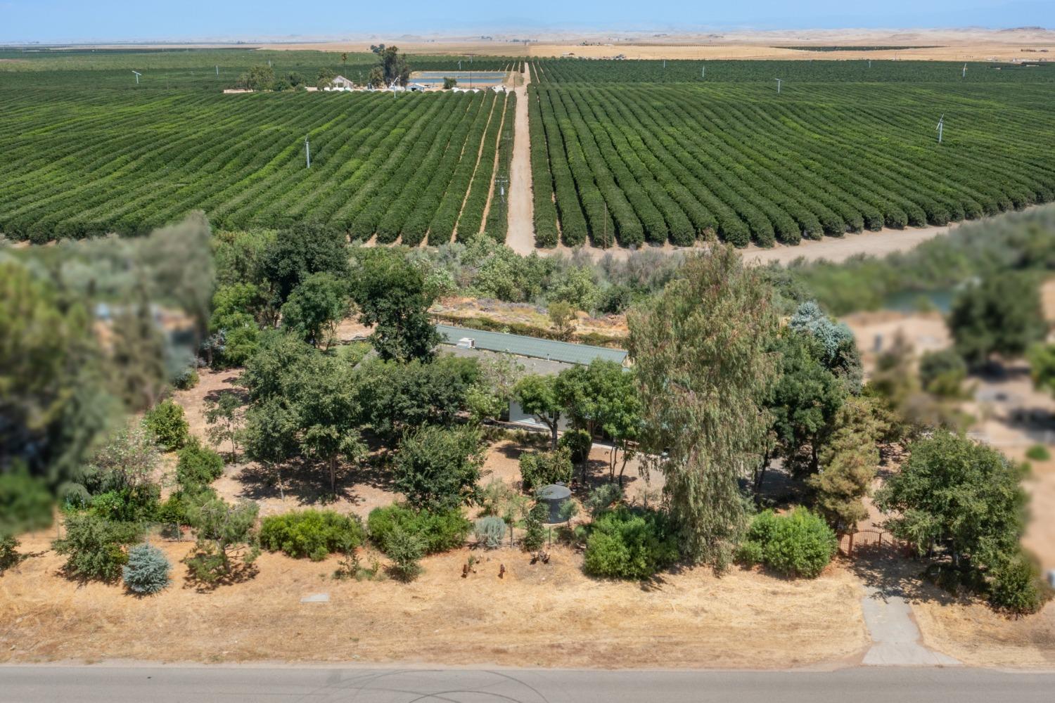 29001 Ave 22 Madera, CA 93638 - Photo 27 of 31 a view of a field with an ocean view