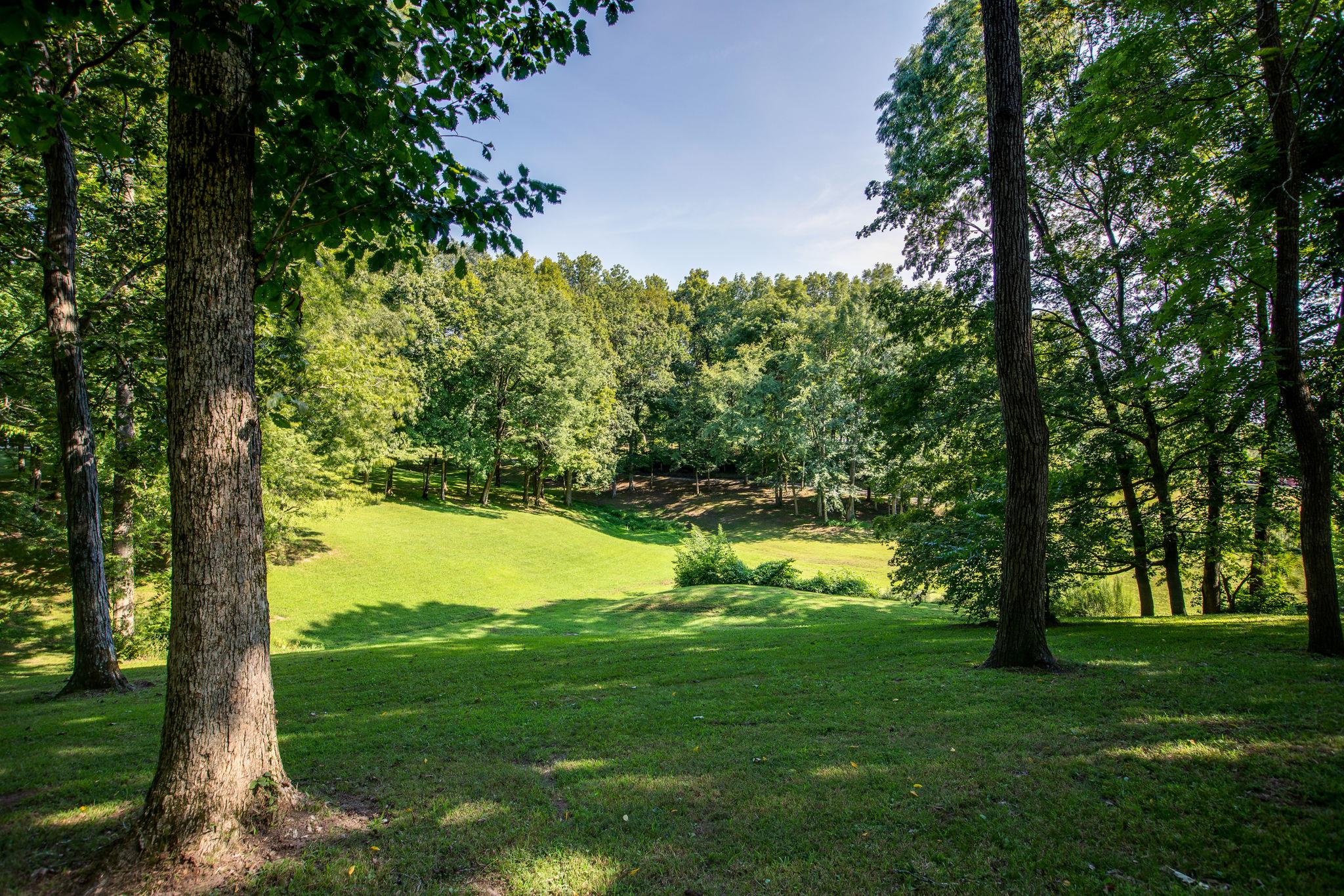 608 Rice Hill Road Nolensville, TN 37135 - Photo 2 of 30 a view of a trees with a yard