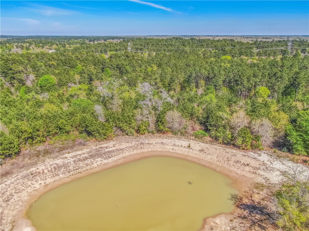 3656 Luthe Road Anderson, TX 77830 - Photo 9 of 13 Gallery Image 9