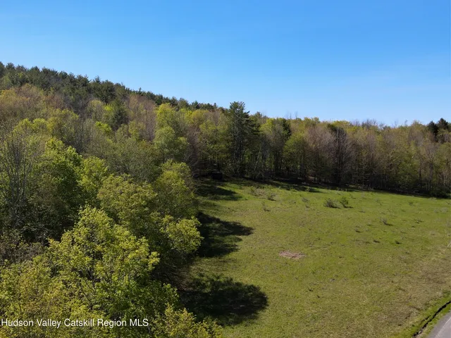 a view of a yard with trees