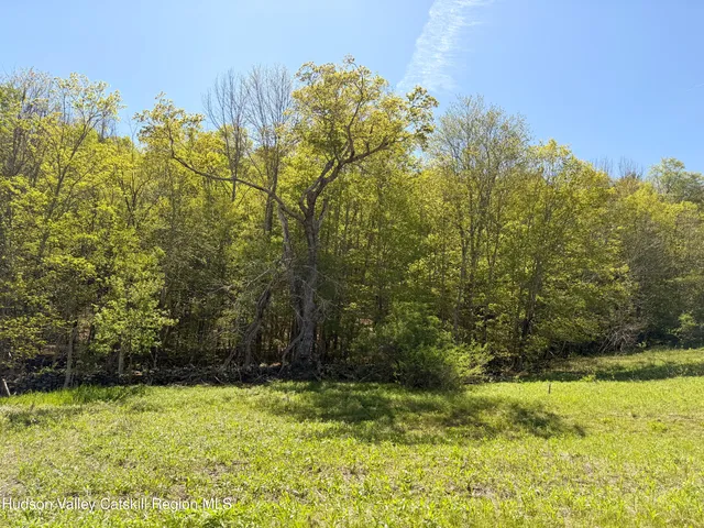 a view of lake and mountain